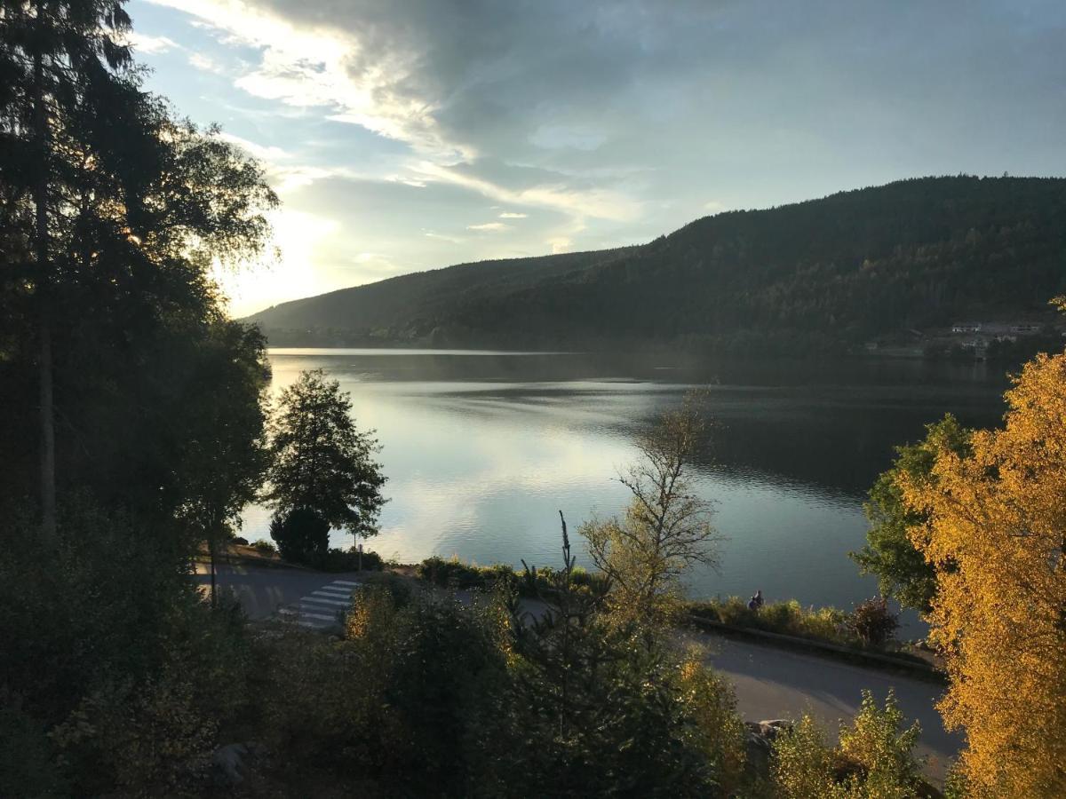 Le Deux Pieces Lägenhet Gérardmer Exteriör bild